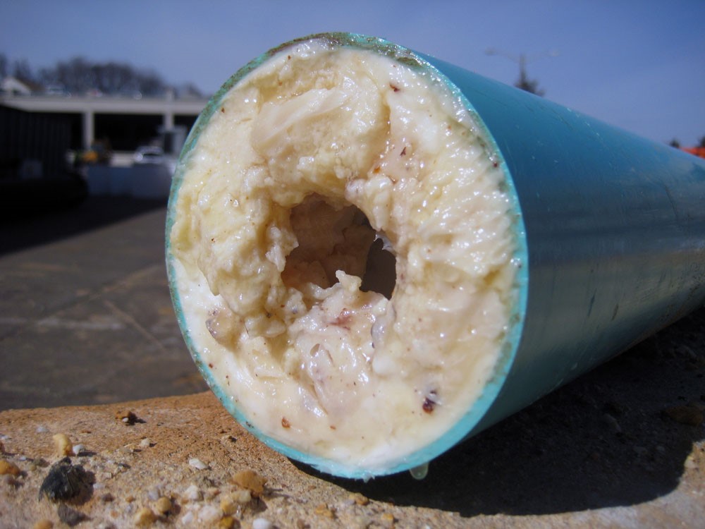 Fat stuck to insides of pipe